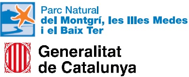 Actualitat